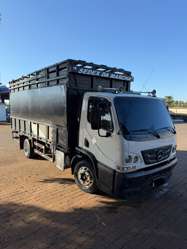 Mercedes Benz Accelo 815 - 13/13 5