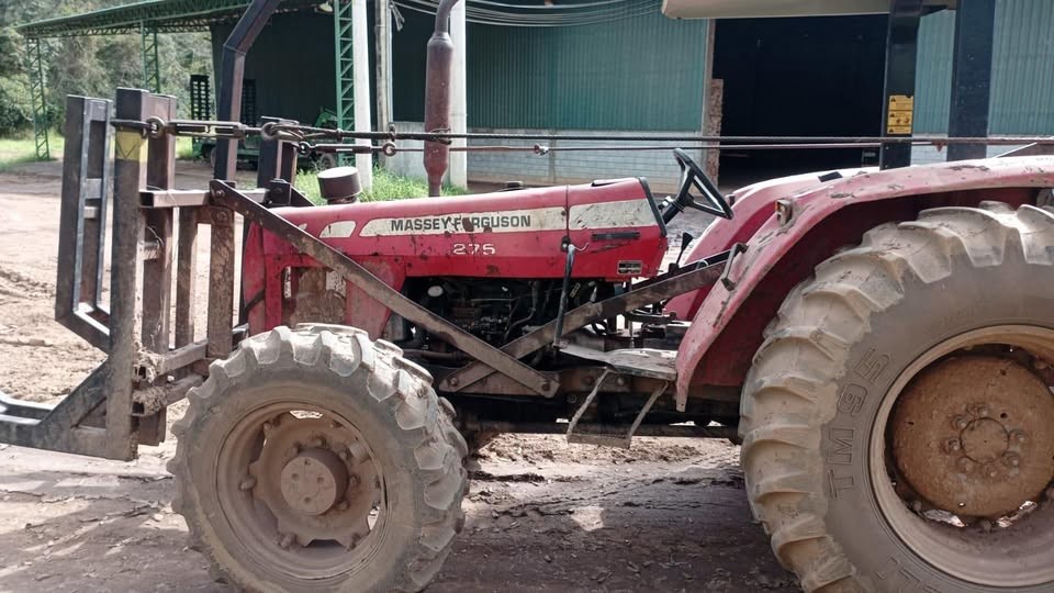 Massey Ferguson 275 - 10/10 5