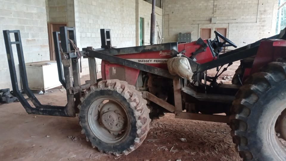 Massey Ferguson 283 - 08/08 3