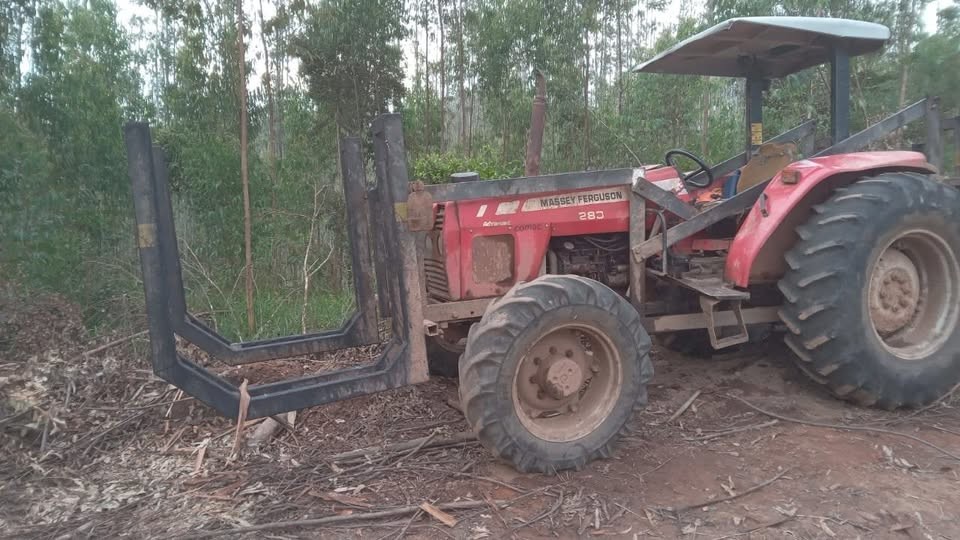 Massey Ferguson 283 - 03/03 5
