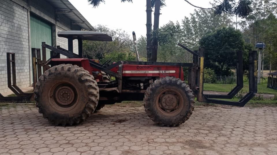 Massey Ferguson 299 - 03/03 4