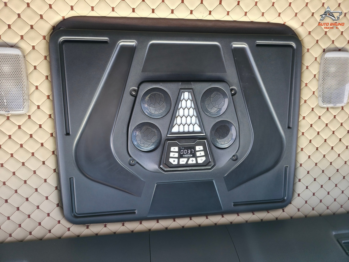 Scania P310 - 15/15 8