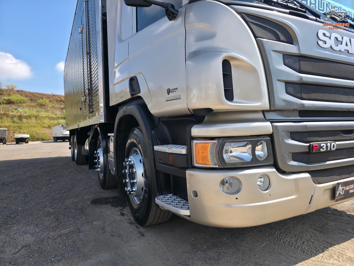 Scania P310 - 15/15 13