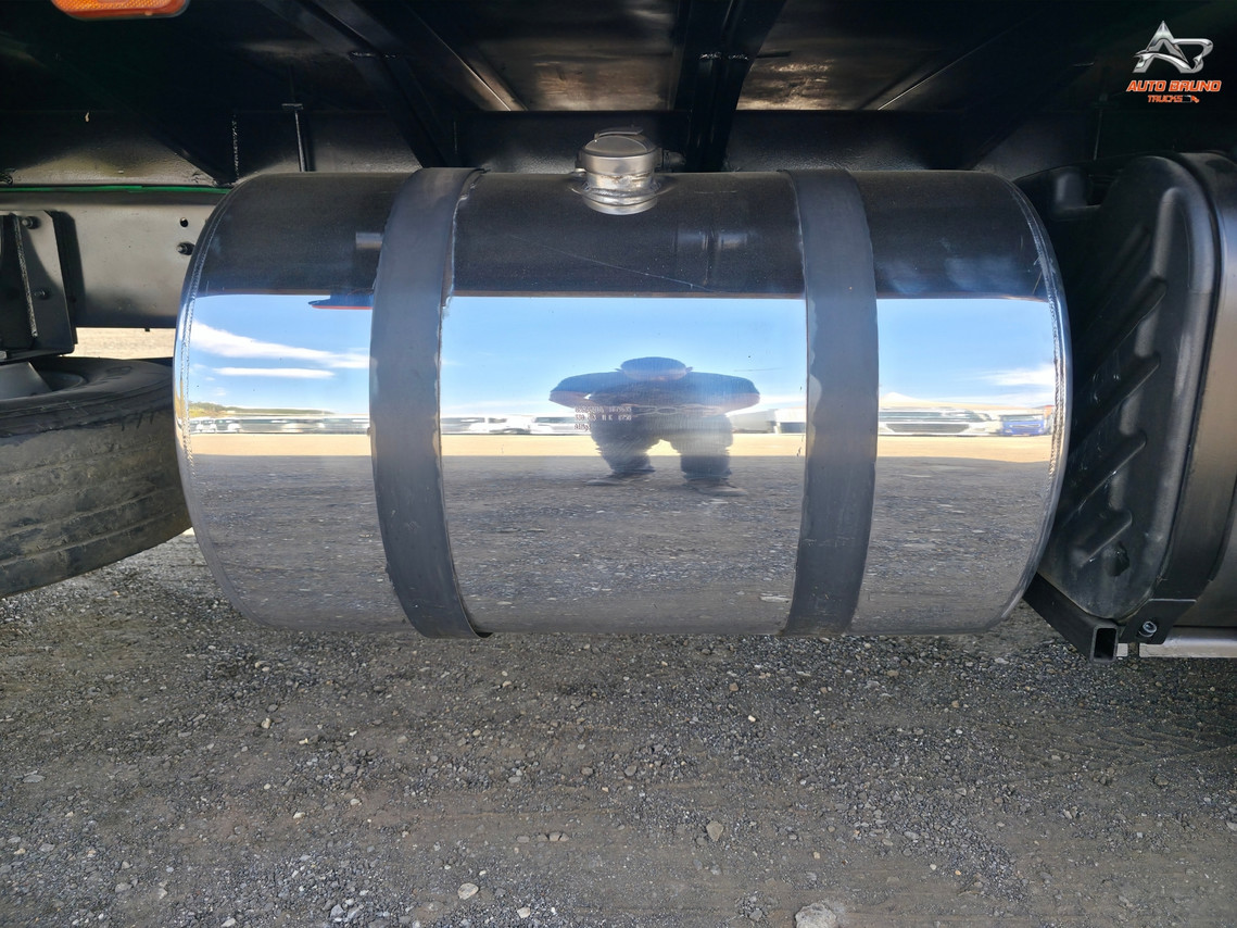 Scania P310 - 15/15 14