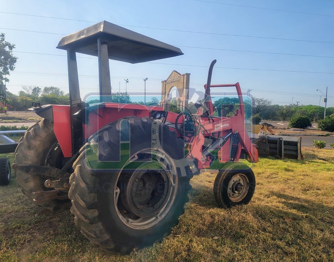Massey Ferguson 290 - 97/97 5